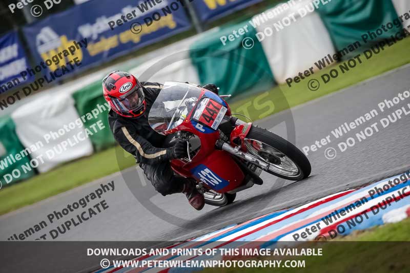 Vintage motorcycle club;eventdigitalimages;mallory park;mallory park trackday photographs;no limits trackdays;peter wileman photography;trackday digital images;trackday photos;vmcc festival 1000 bikes photographs